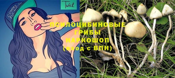mix Надым
