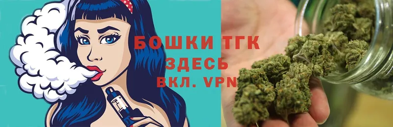 Шишки марихуана план  Александровск 